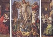 Sandro Botticelli Transfiguration,with St Jerome(at left) and St Augustine(at right) France oil painting artist